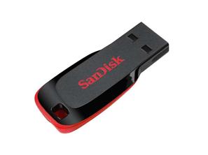 Sandisk  USB Bellek